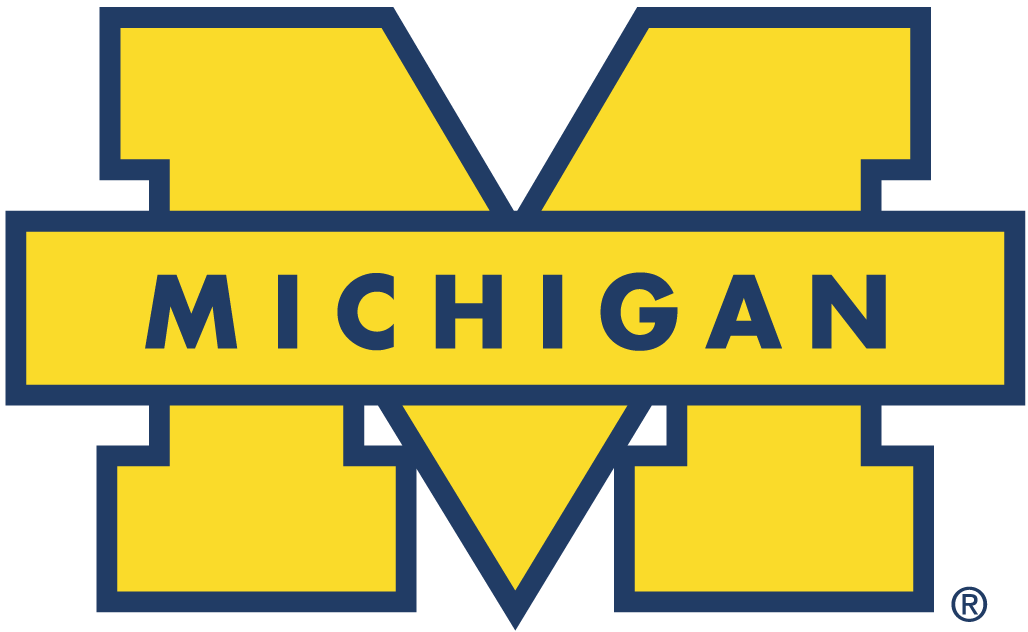 Michigan Wolverines 1996-Pres Secondary Logo 01 iron on paper